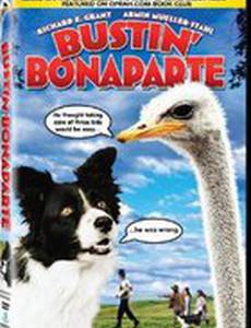 The Story of an African Farm