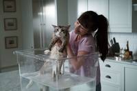 Кадр Девять жизней