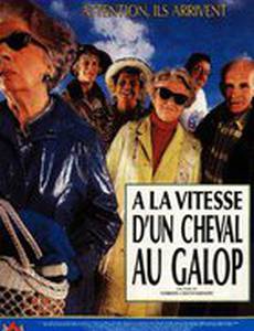 À la vitesse d'un cheval au galop