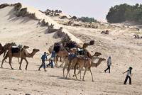 Кадр Тобрук