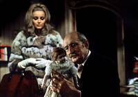 Кадр Дождись темноты