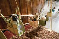 Кадр Отель для собак