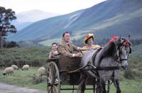 Кадр Скотный двор