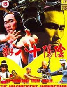 Замечательный и удивительный