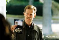 Кадр Сотовый