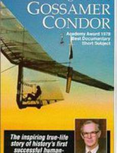 Полет легкого кондора