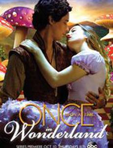 Однажды в стране чудес
