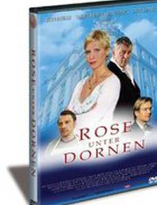 Rose unter Dornen