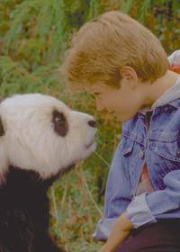 Кадр Удивительное приключение панды