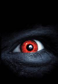 Постер 30 дней до рассвета