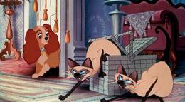 Кадр из фильма "Леди и бродяга" - 1