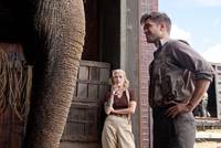 Кадр Воды слонам!