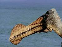 Кадр BBC: Прогулки с динозаврами (мини-сериал)