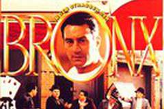 Бронкская история