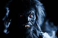 Кадр Священная бутыль 2