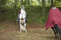 Кадр Мерлин