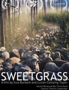 Последний ковбой