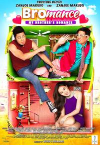 Постер Броман: Роман моего брата