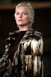 Кадр Женщина-кошка