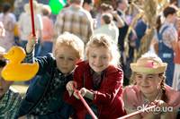 Кадр Паутина Шарлотты