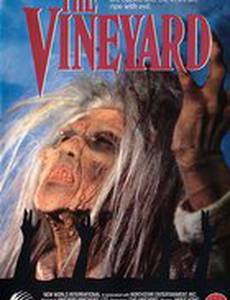 Виноградник