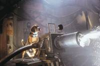 Кадр Кошки против собак