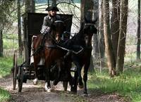 Кадр Слуга государев