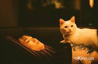 Кадр Вавилон