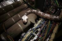 Кадр Змеиный полет