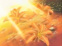 Кадр Нарутару