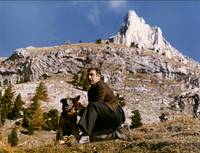 Кадр Молчаливый