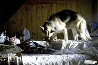 Кадр Носители