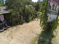 Кадр Ходячие мертвецы