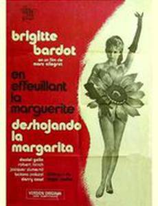 Обрывая лепестки ромашки