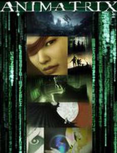 Аниматрица: Детективная история