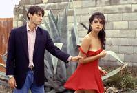 Кадр Ветчина, ветчина