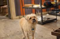 Кадр Дети шпионов 4: Армагеддон