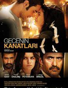 Крылья в ночи