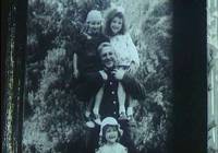 Кадр Цветы календулы