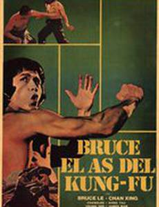 Брюс и кунг-фу монастыря Шао-Линь