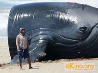 Кадр Хэнкок