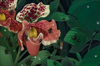 Кадр Наруто 5