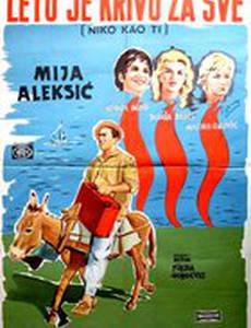 Лето виновато во всем