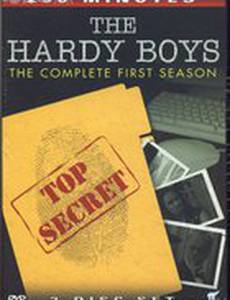 Братья Харди