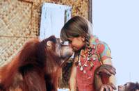 Кадр Новые Робинзоны