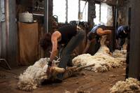 Кадр Дочери Маклеода