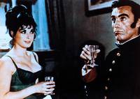 Кадр Все кошки любят полакомиться