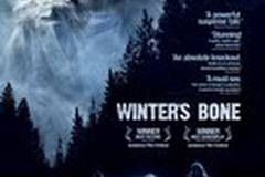 Зимняя кость