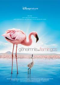 Постер Пурпурные крылья: Тайна фламинго