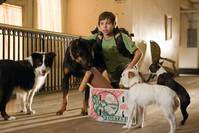 Кадр Отель для собак